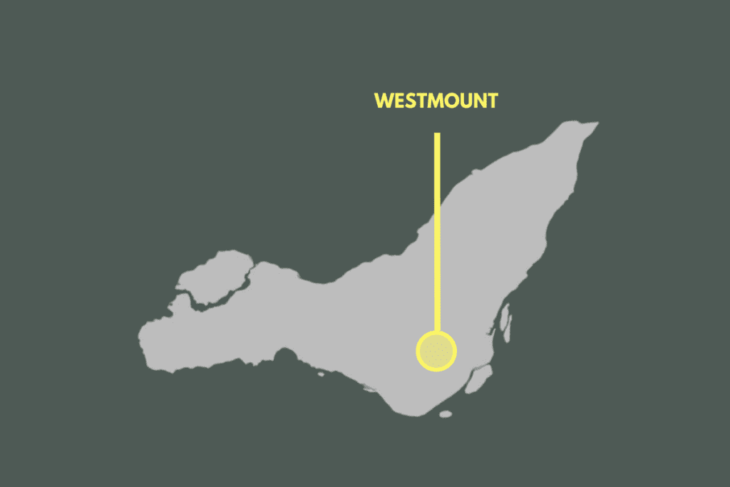 Duque Simms - Montreal Real Estate Agency | Westmount