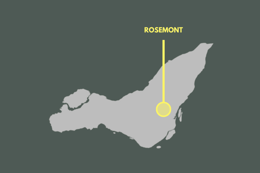 Duque Simms - Montreal Real Estate Agency | Rosemont