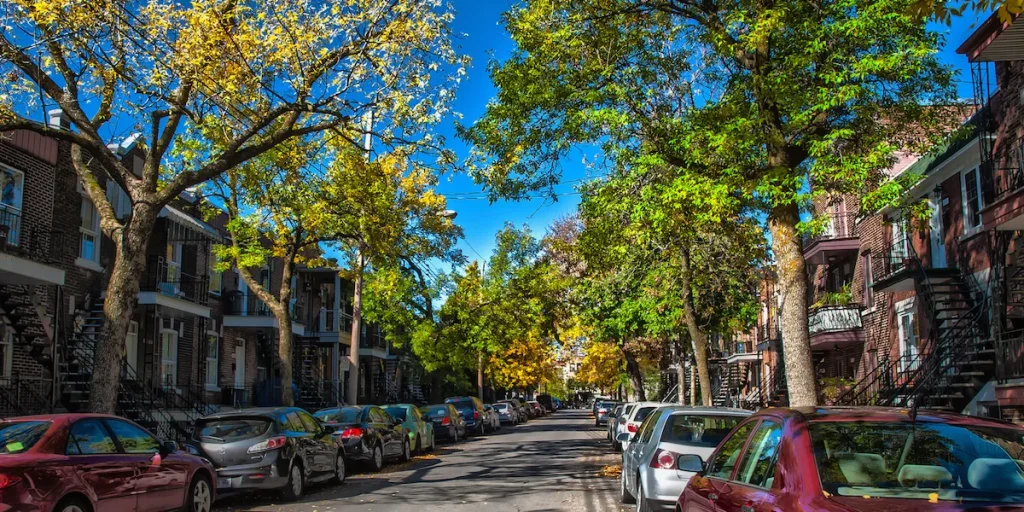 Duque Simms - Montreal Real Estate Agency | Rosemont